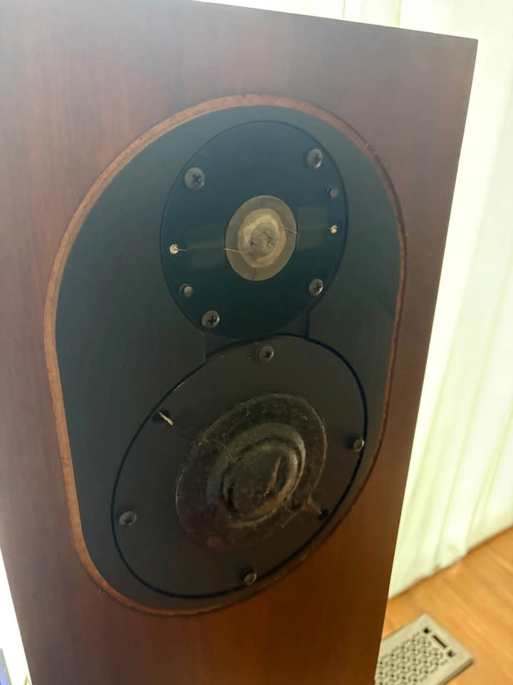 ⚠️Read ad! ALLISON Acoustics CD8 Speakers - Rare Hi Fi Towers - photo 4