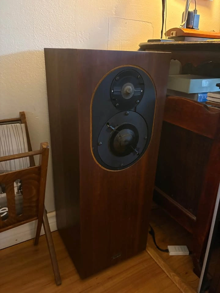 ⚠️Read ad! ALLISON Acoustics CD8 Speakers - Rare Hi Fi Towers - photo 5