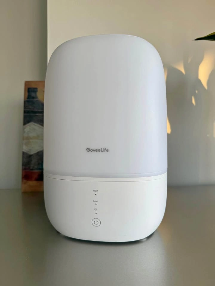 Govee Smart Humidifier (3-in-1)
