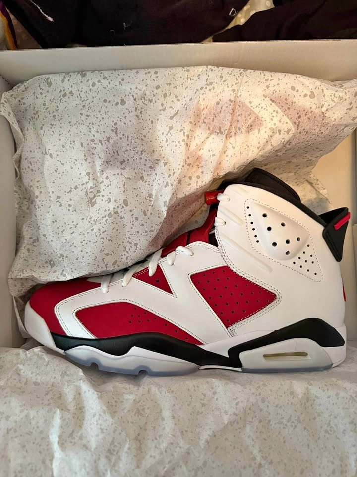 Air Jordan 6 Carmine 2021