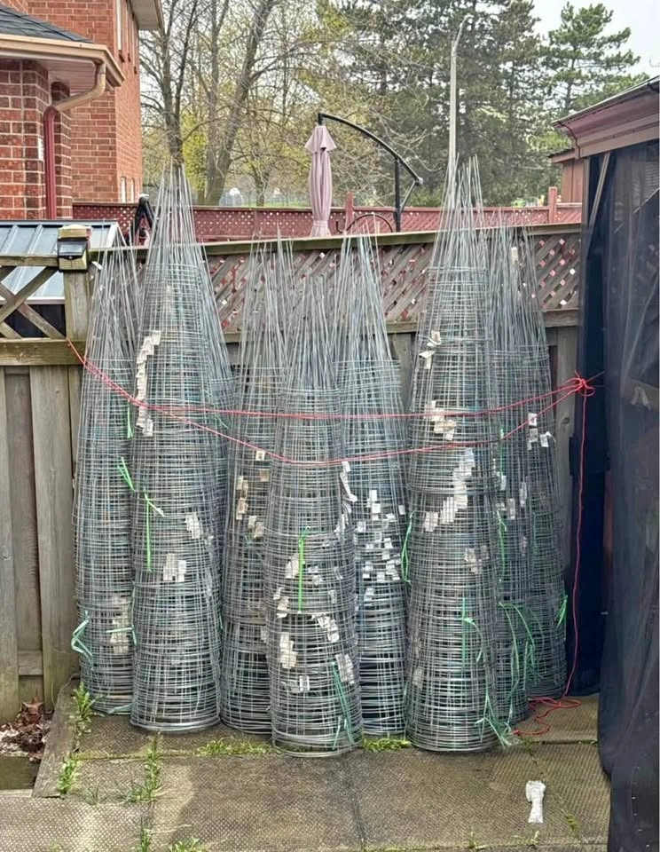 42" and 36" Galvanized Tomato Cages