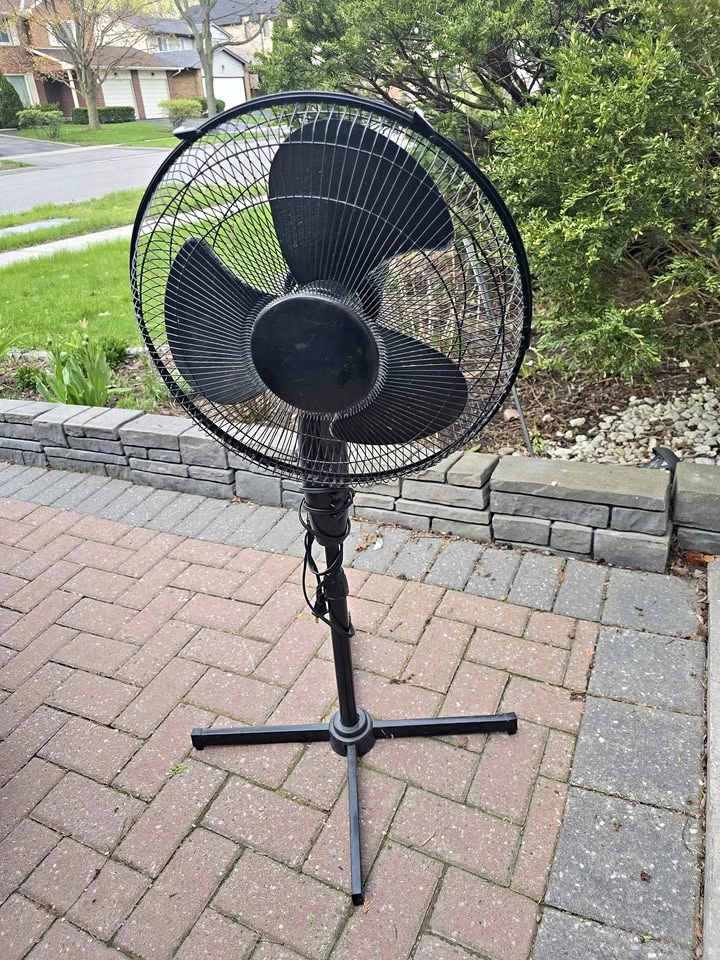 Garage Sale - Fan