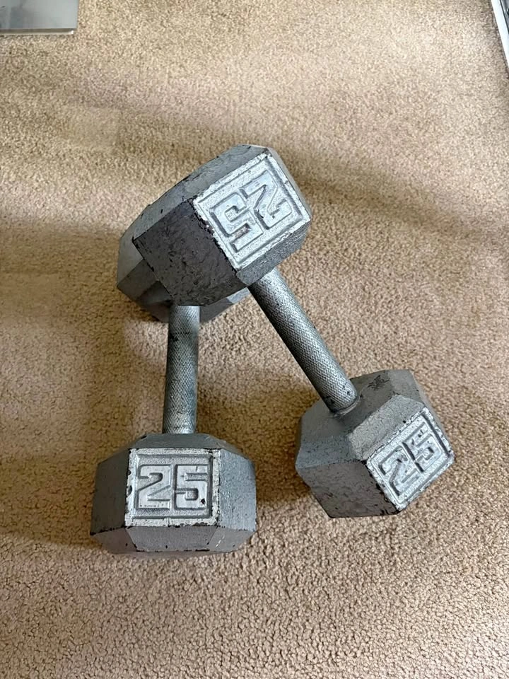 25 lb Dumbbells (Pair)