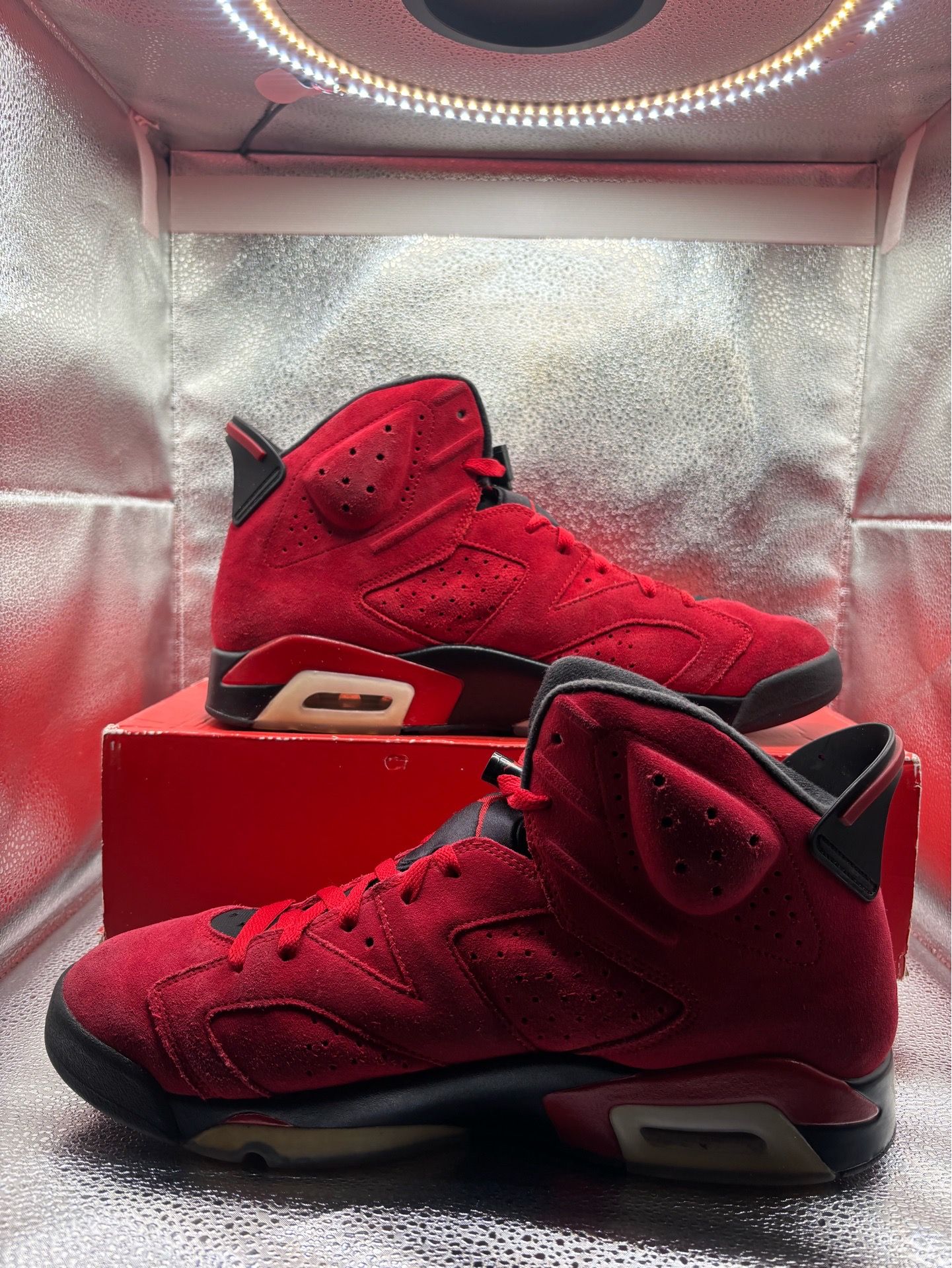 Air Jordan 6 Toro Bravo - photo 5