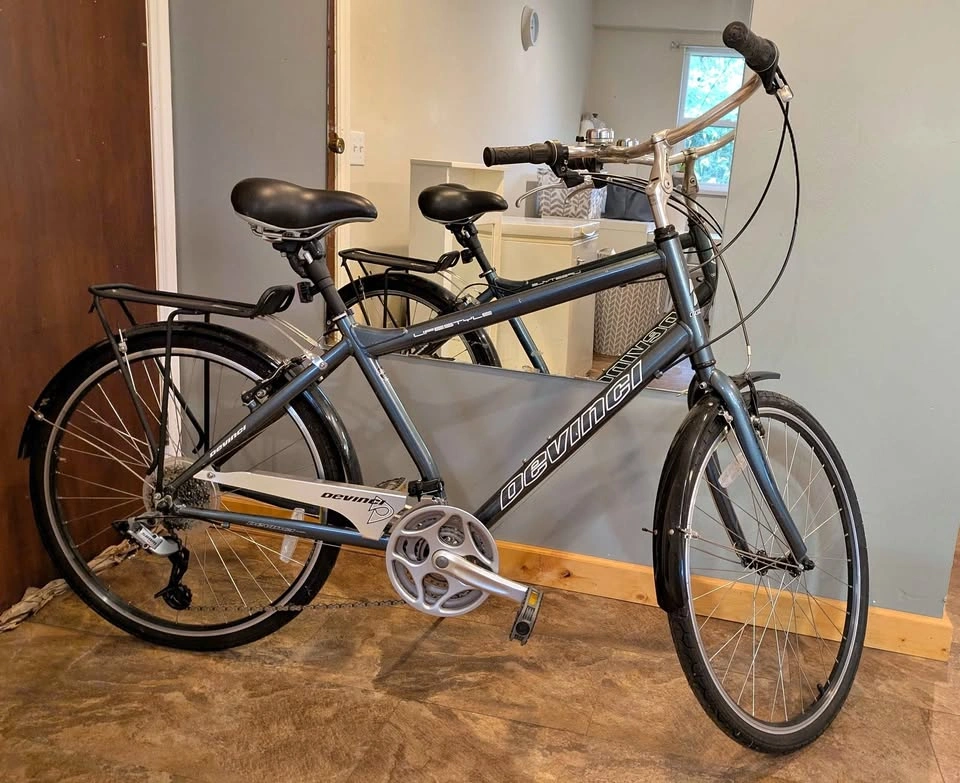 Devinci Lifestyle Unisex Cruiser Bike