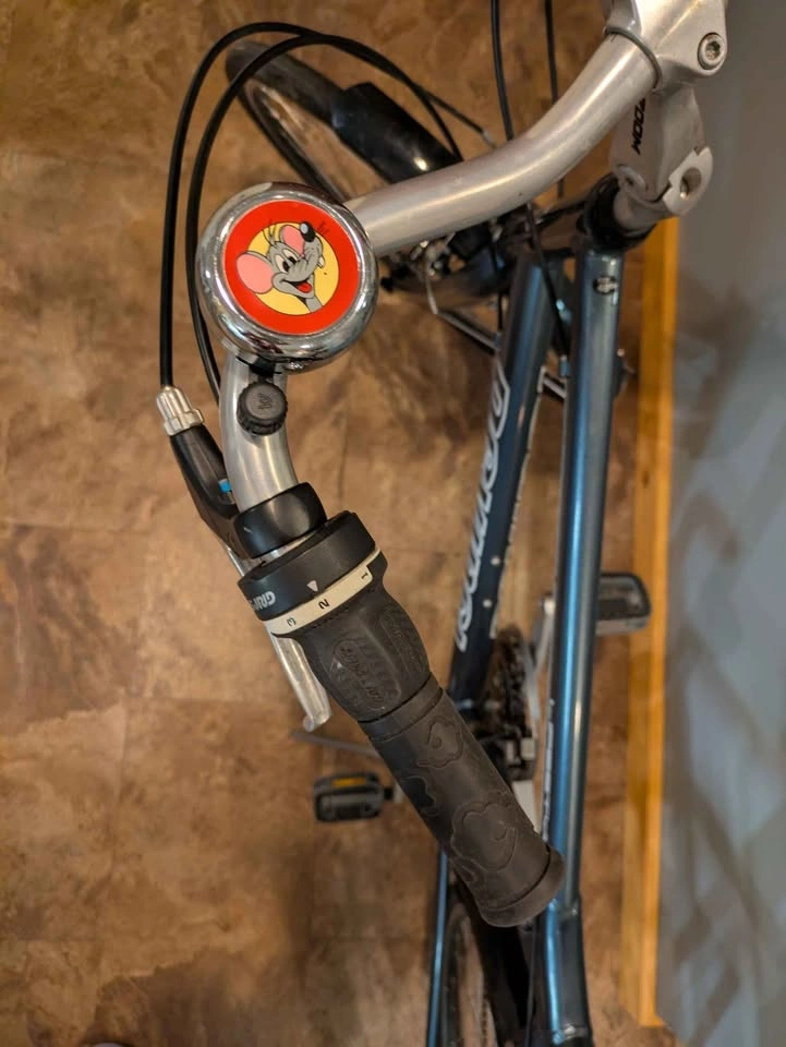 Devinci Lifestyle Unisex Cruiser Bike - photo 4