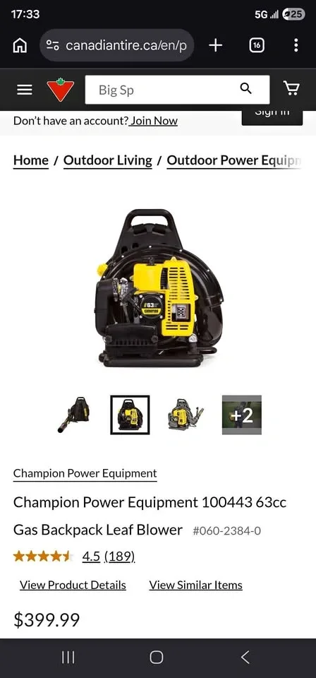 Champion Power Equipment Backpack Leaf Blower (Model 100443)