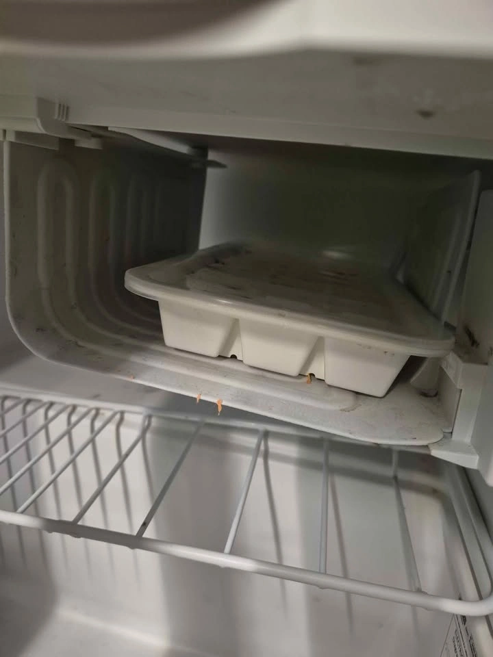 Mini Fridge (TILLREDA) - photo 4