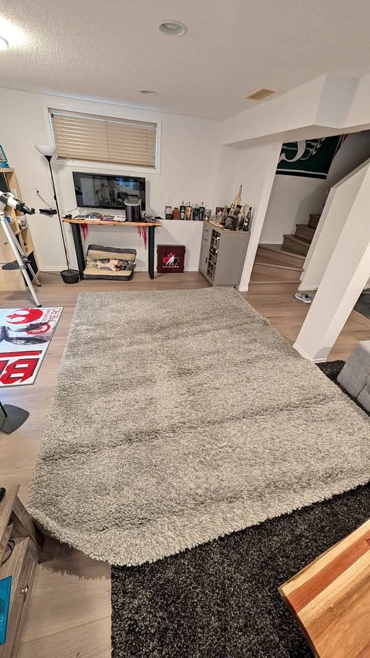 Thomasville Marketplace Platinum Luxury Shag Rug