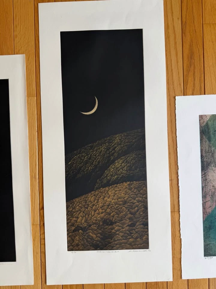Original Artwork by Hamanishi & Hiratsuka - photo 2