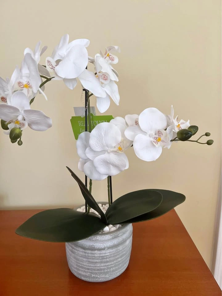 Brand new faux orchid