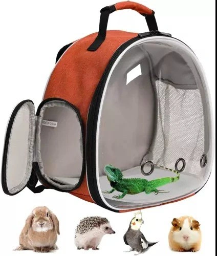 Clear Guinea Pig Backpack, Space Capsule Bubble Window Backpack