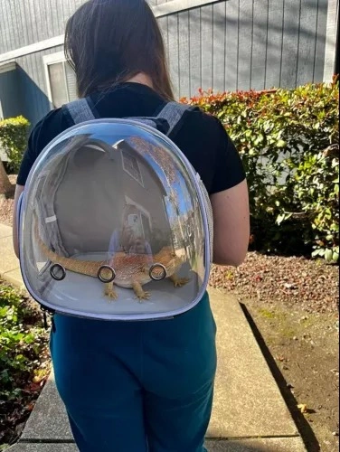 Clear Guinea Pig Backpack, Space Capsule Bubble Window Backpack - photo 4