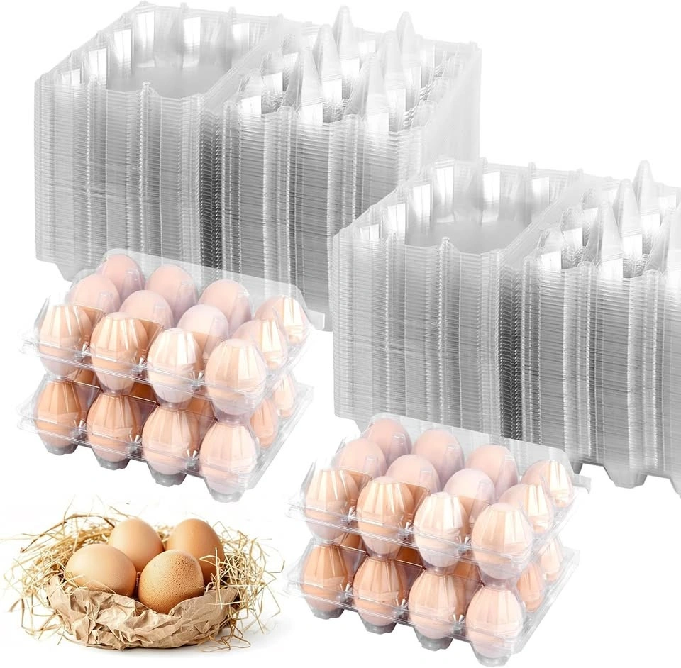 100 Pack 12 Count Plastic Egg Cartons