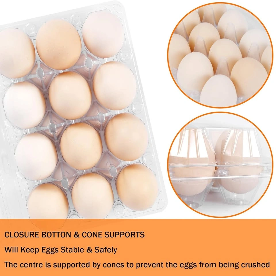 100 Pack 12 Count Plastic Egg Cartons - photo 5