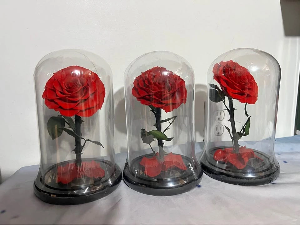 Preserved Rose in Glass Dome