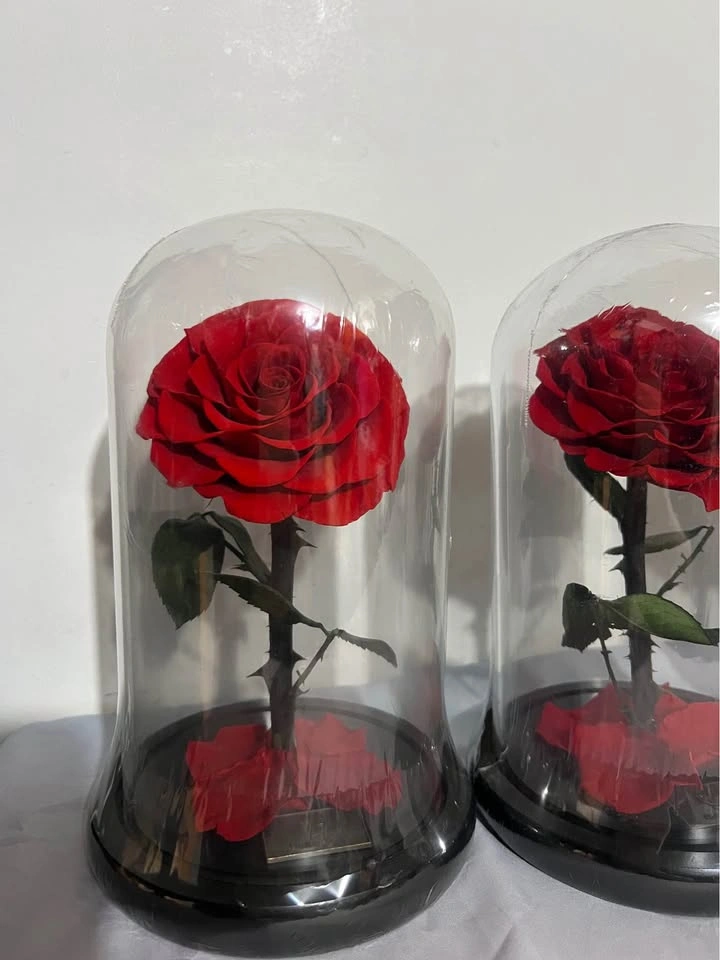 Preserved Rose in Glass Dome - photo 2