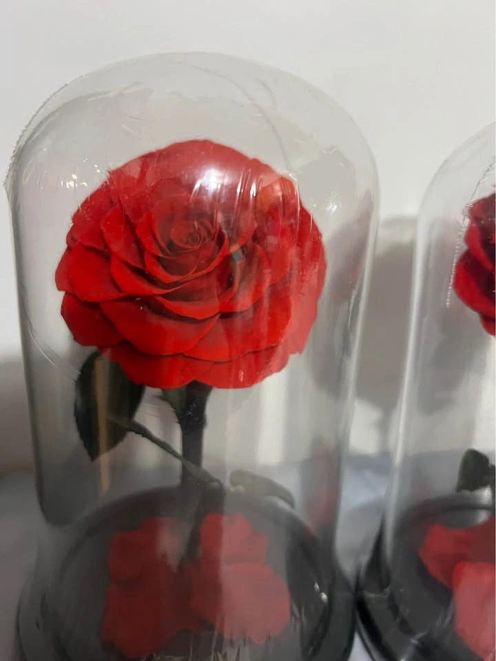 Preserved Rose in Glass Dome - photo 3