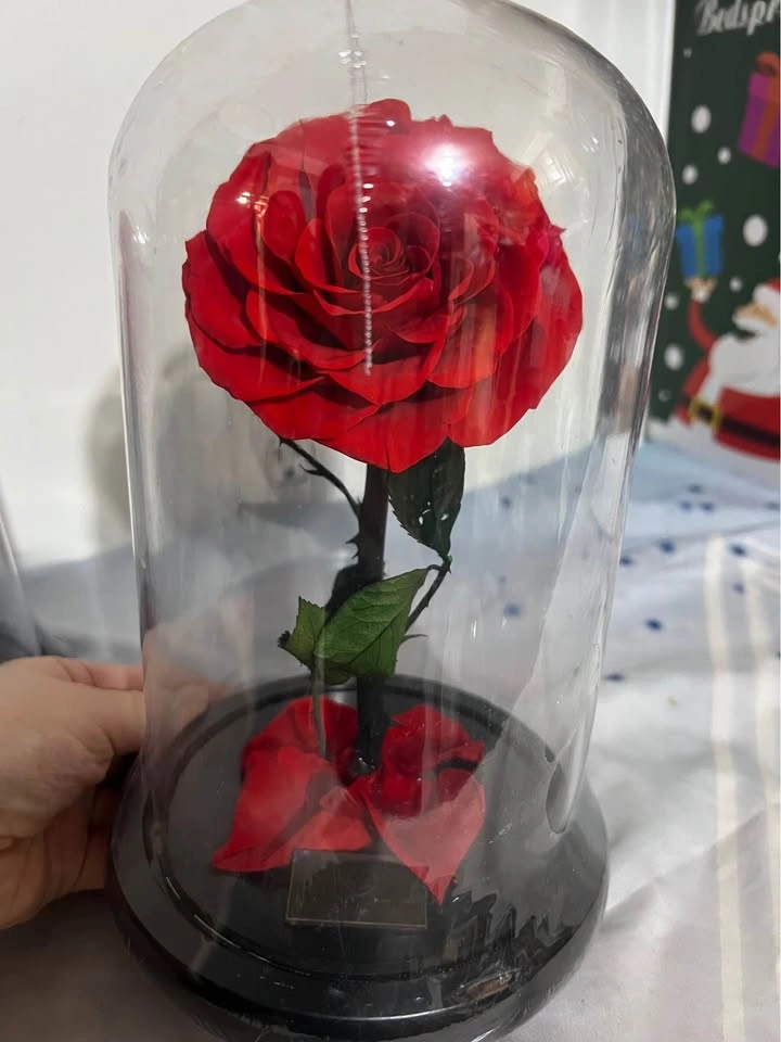 Preserved Rose in Glass Dome - photo 4