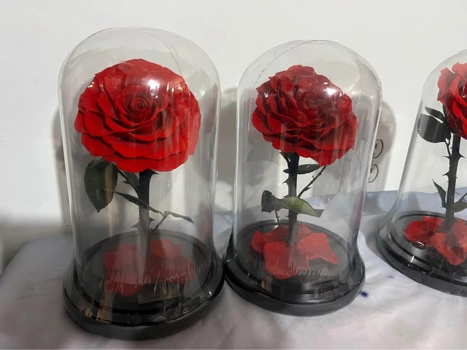 Preserved Rose in Glass Dome - photo 5