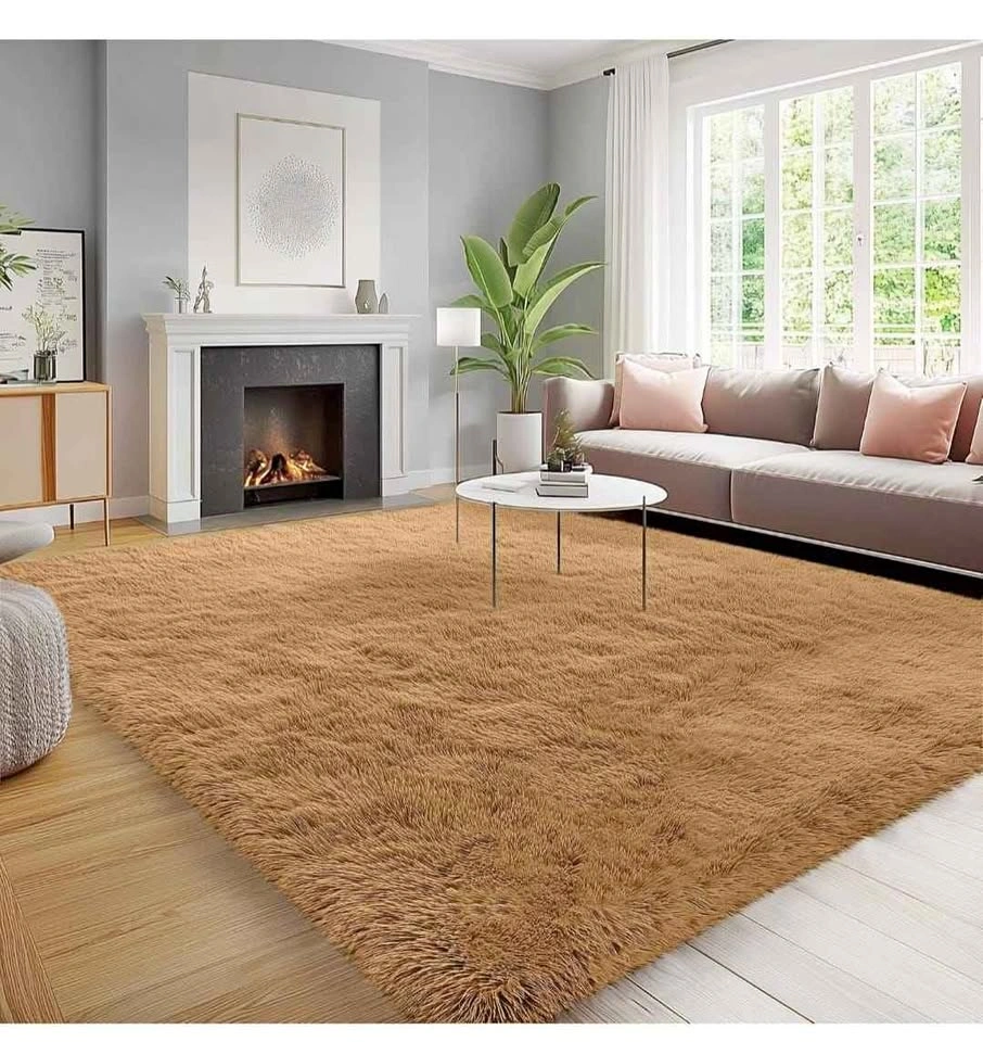 Fluffy Area Rug for Living Room Bedroom, 6x9 Feet