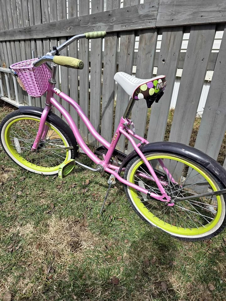 Huffy cruiser.