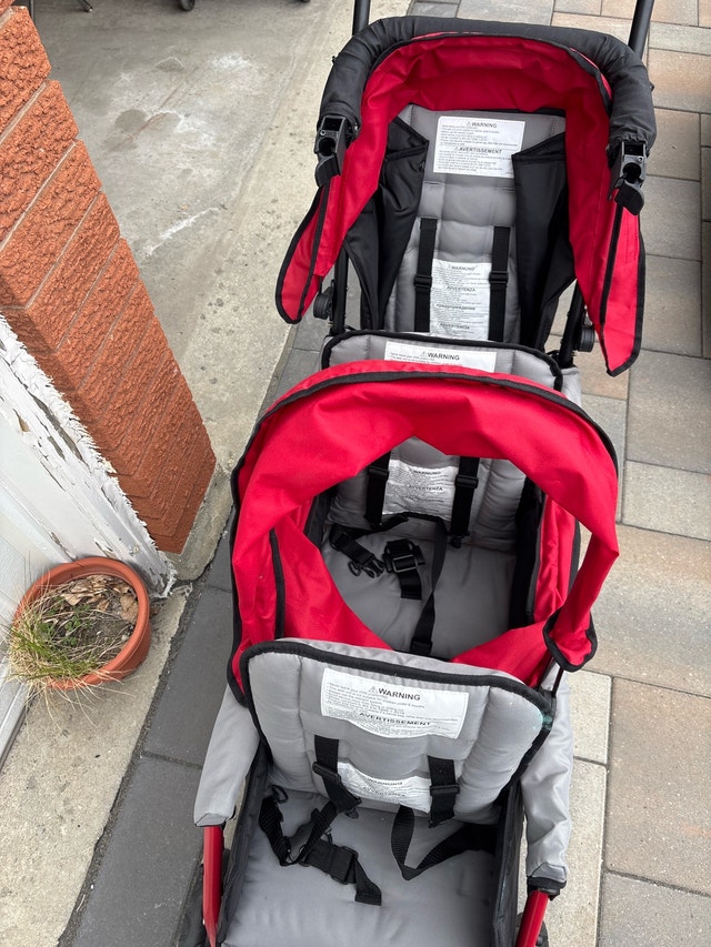 Foundations Double Stroller - photo 2