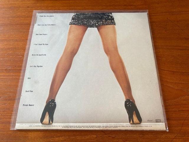 1983 Tina Turner – Private Dancer (Vintage Vinyl LP album) - photo 2