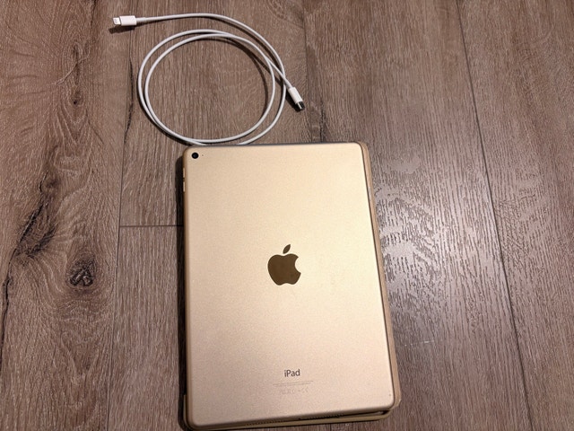 Gold iPad Air 2 with Smart Cover and Charging Cable 16 GB - photo 2