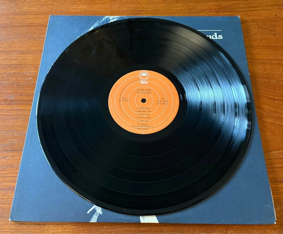 Dan Fogelberg -Nether Lands Vintage Vinyl LP. 1977 Classic Album - photo 2