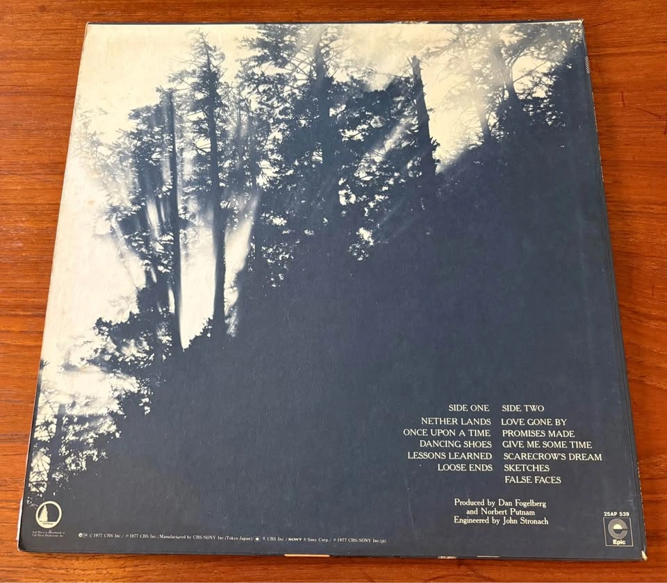 Dan Fogelberg -Nether Lands Vintage Vinyl LP. 1977 Classic Album - photo 4
