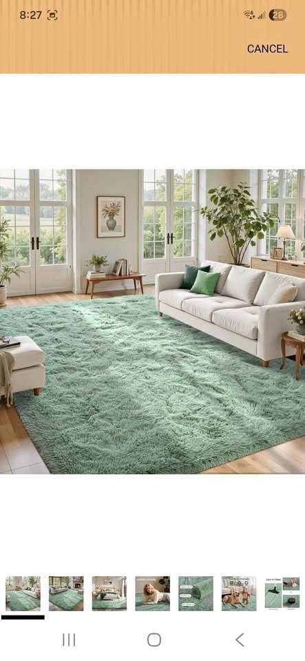Rug for Living Room 8x10 Sage Green