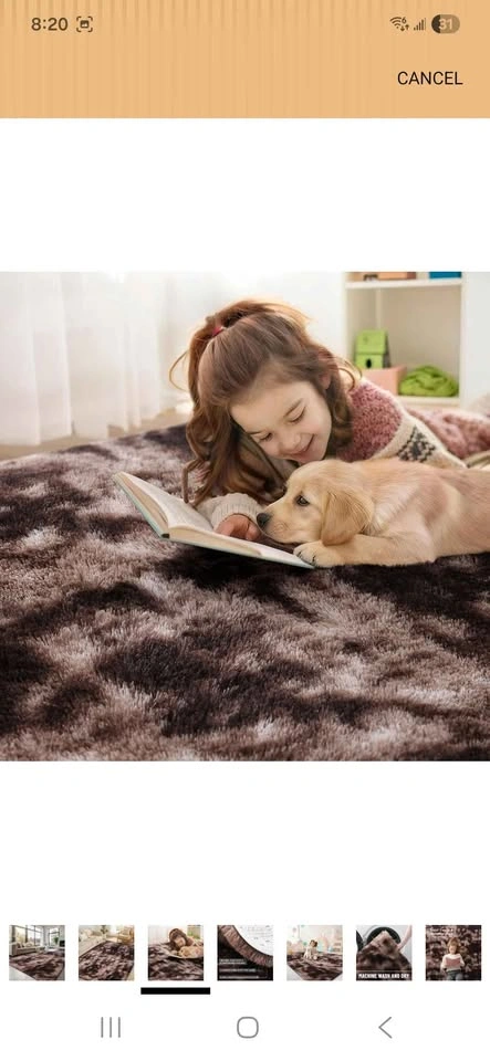 8x10 Shaggy Brown Dyed Area Rug - photo 3