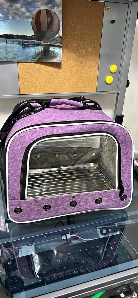 Purple Pet Carrier