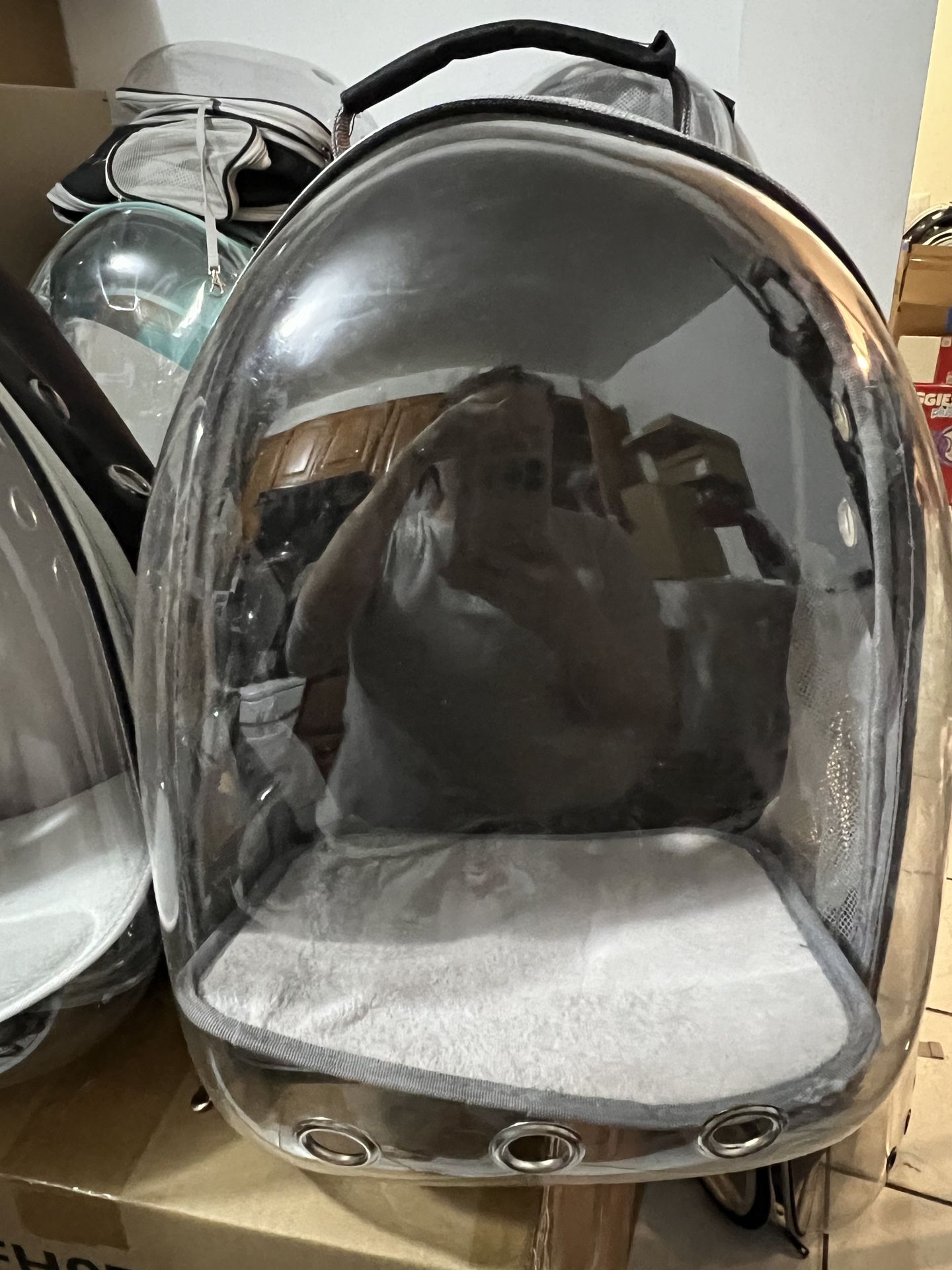 Pet carrier backpack $15 each - photo 2