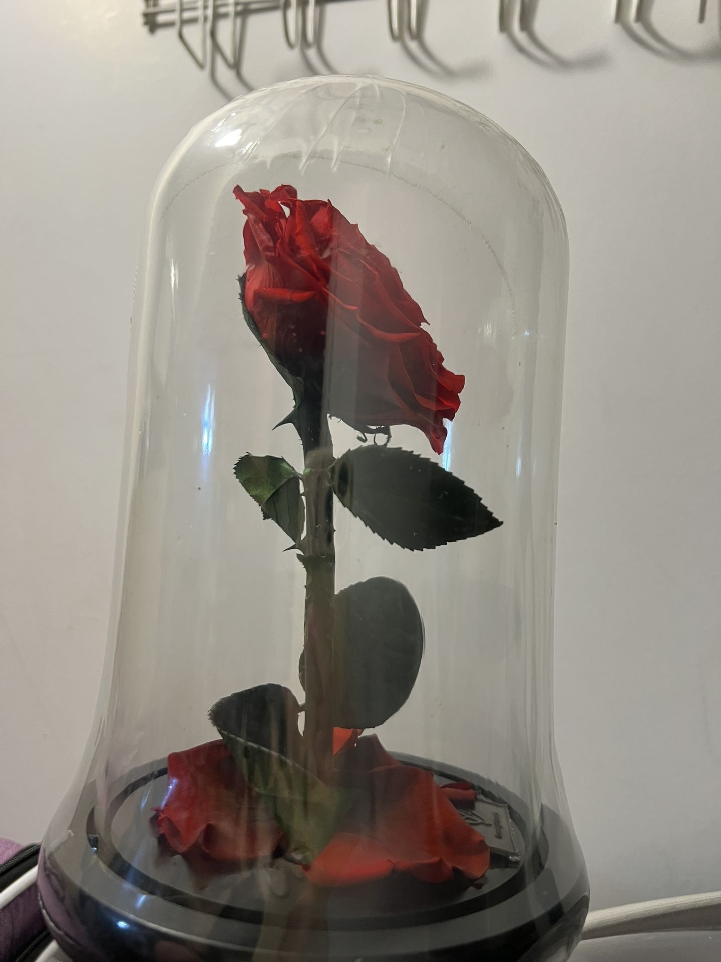 Preserved rose new - photo 4