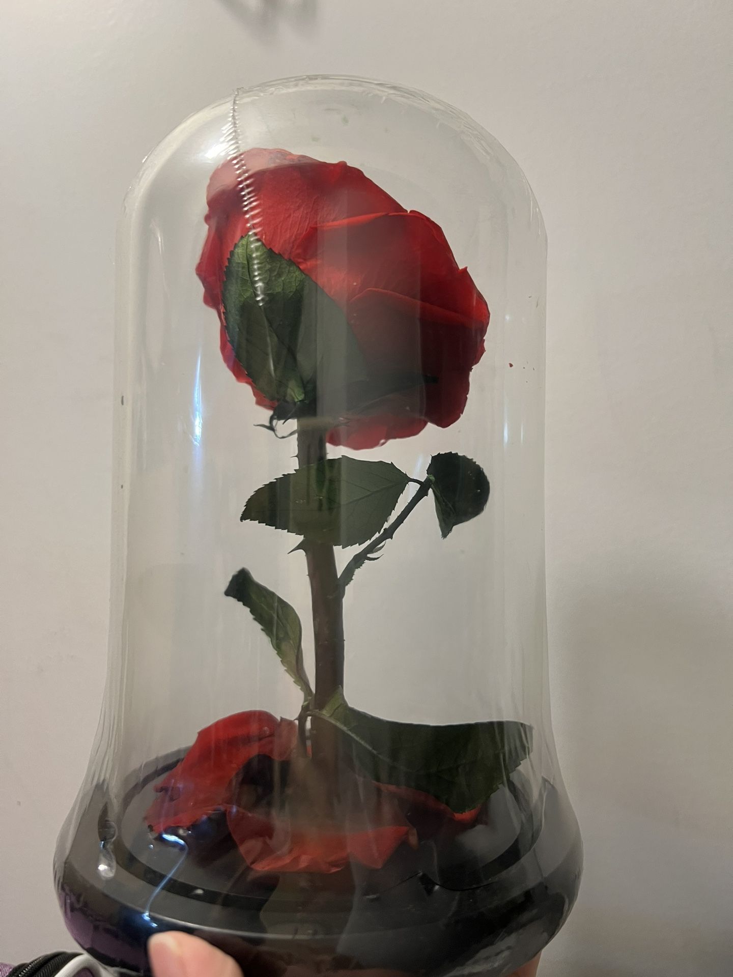 Preserved rose new - photo 5