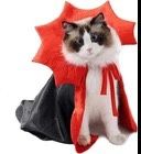 Dog & Cat Vampire Costume Cloak (Black, S) - photo 2