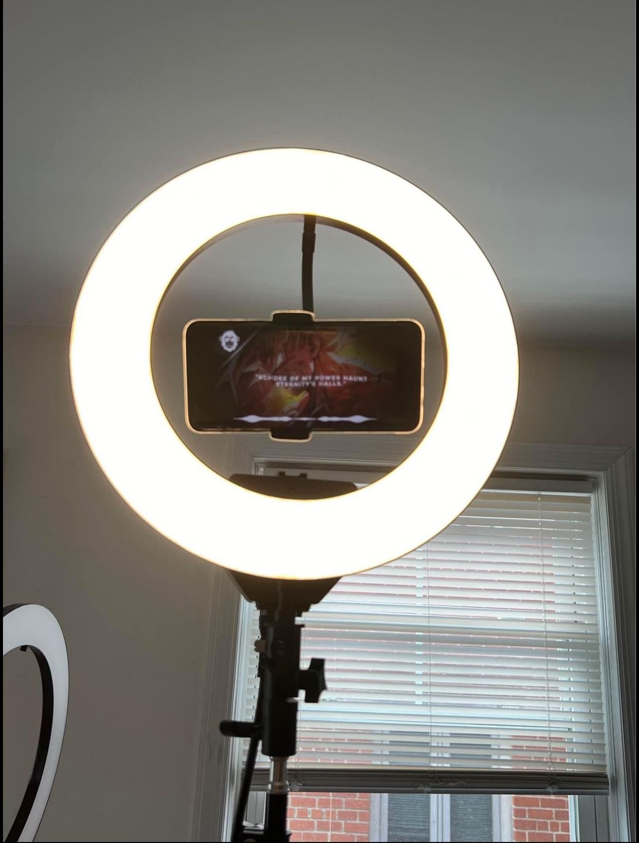 Professional 14-inch Dimmable Ring Light with Remote