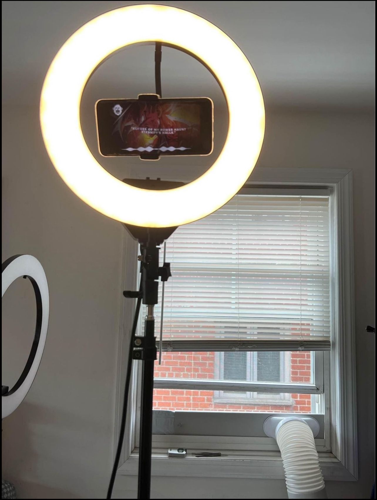 Professional 14-inch Dimmable Ring Light with Remote - photo 2
