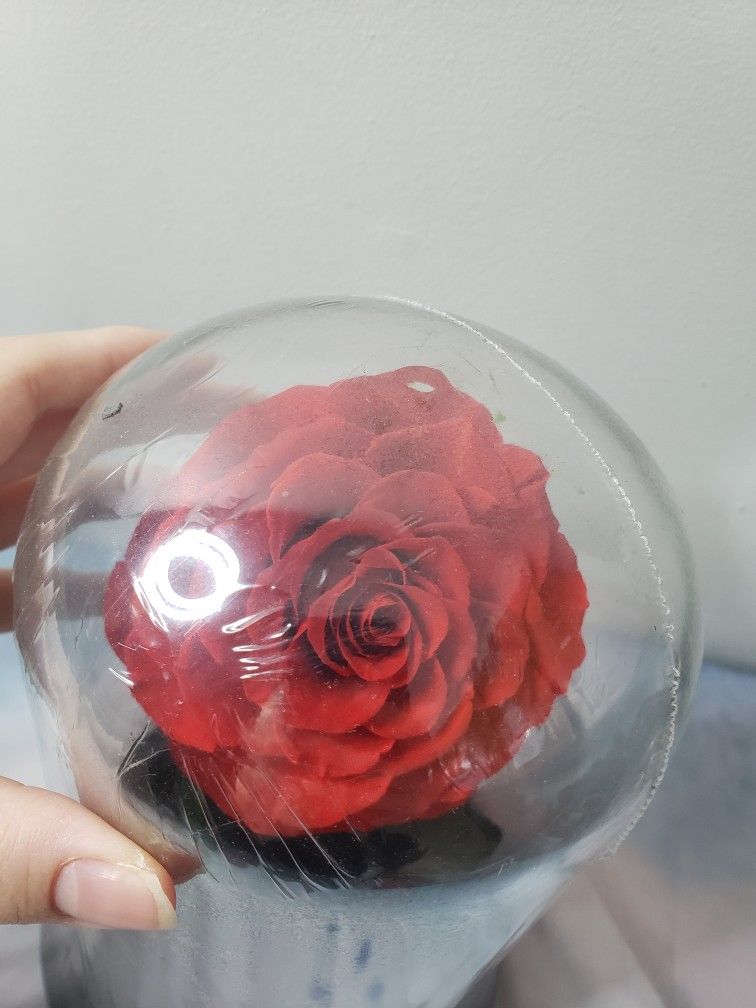 Preserved Rose Real Eternal Rose Stain On The Dome - photo 3