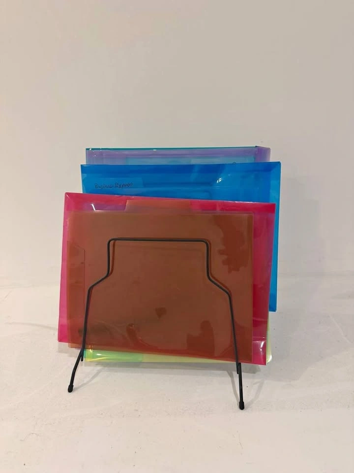 File Folder Holder Organizer with Folders