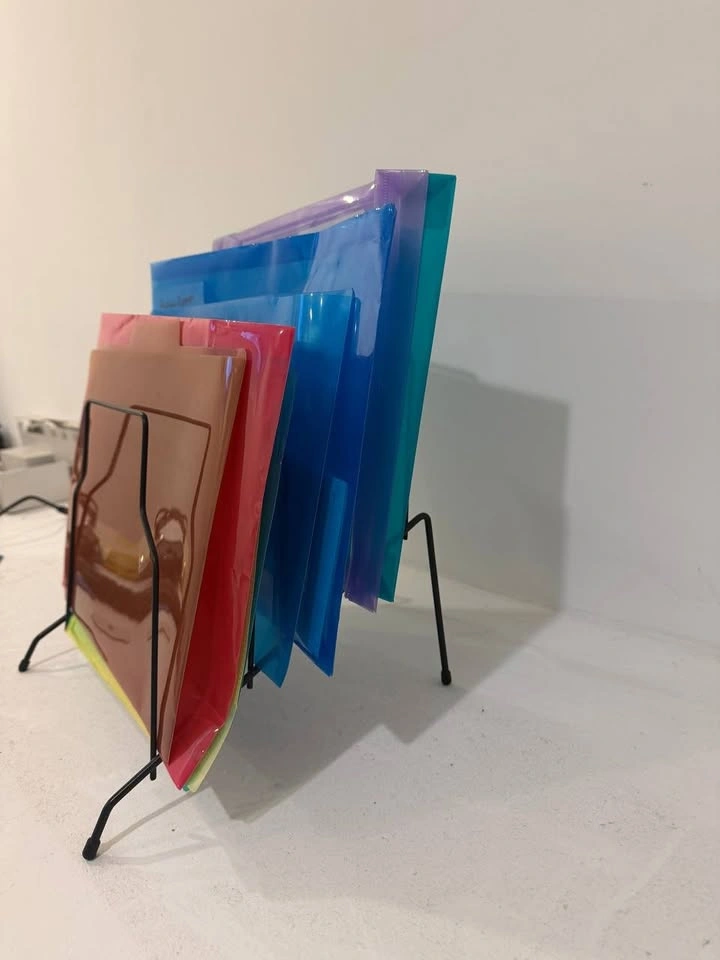 File Folder Holder Organizer with Folders - photo 2