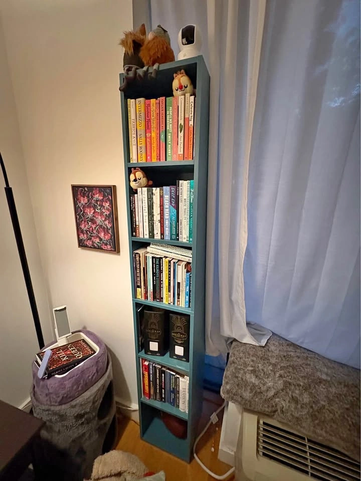 Teal 5-Shelf Bookshelf
