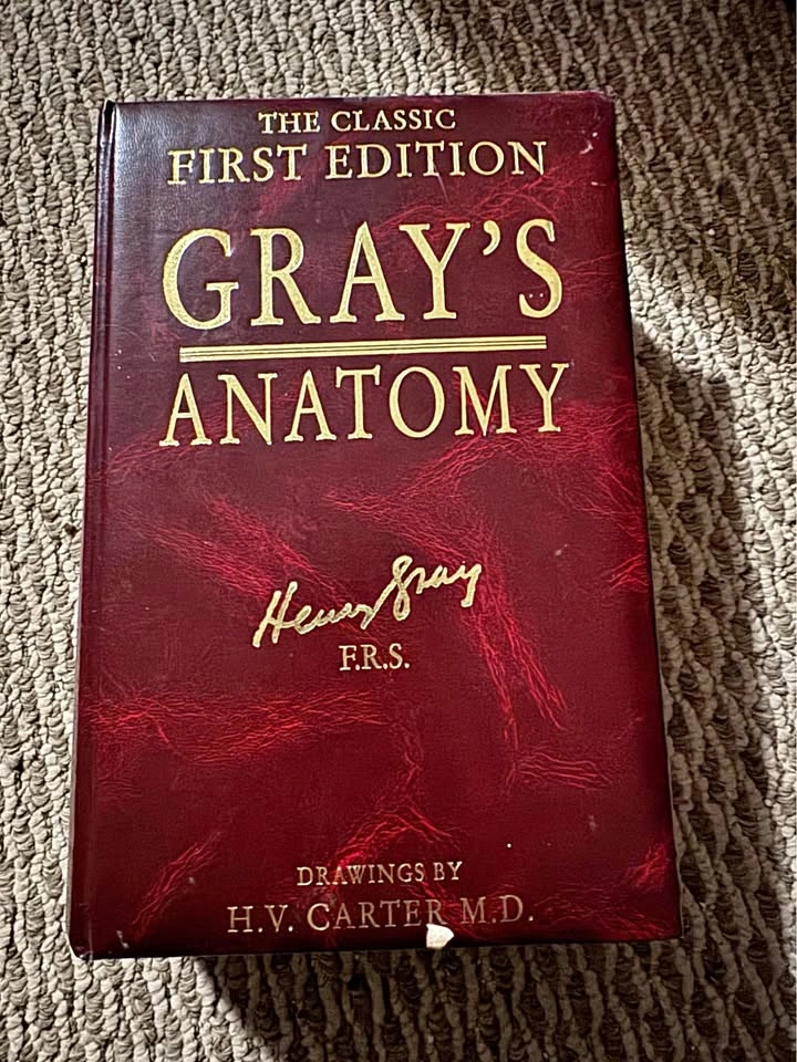 Vintage Gray's Anatomy First Edition