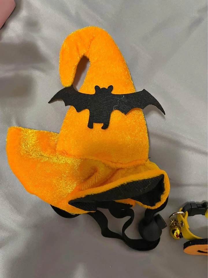 Halloween Hat and Collar for cats/small dogs