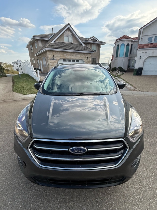 Mint Active 2019 Ford Escape SE AWD
