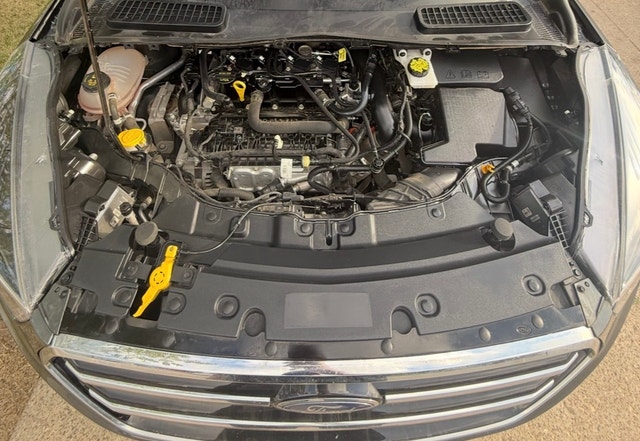 Mint Active 2019 Ford Escape SE AWD - photo 2