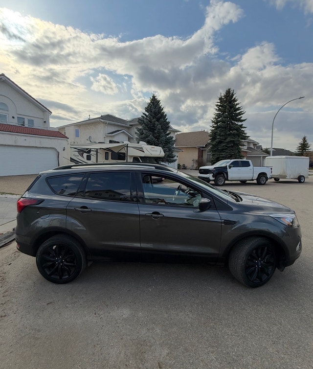 Mint Active 2019 Ford Escape SE AWD - photo 5