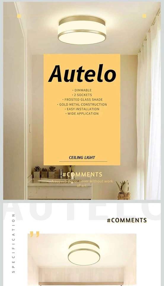 AUTELO Gold Ceiling Light, Frosted Glass Flush Mount - photo 2